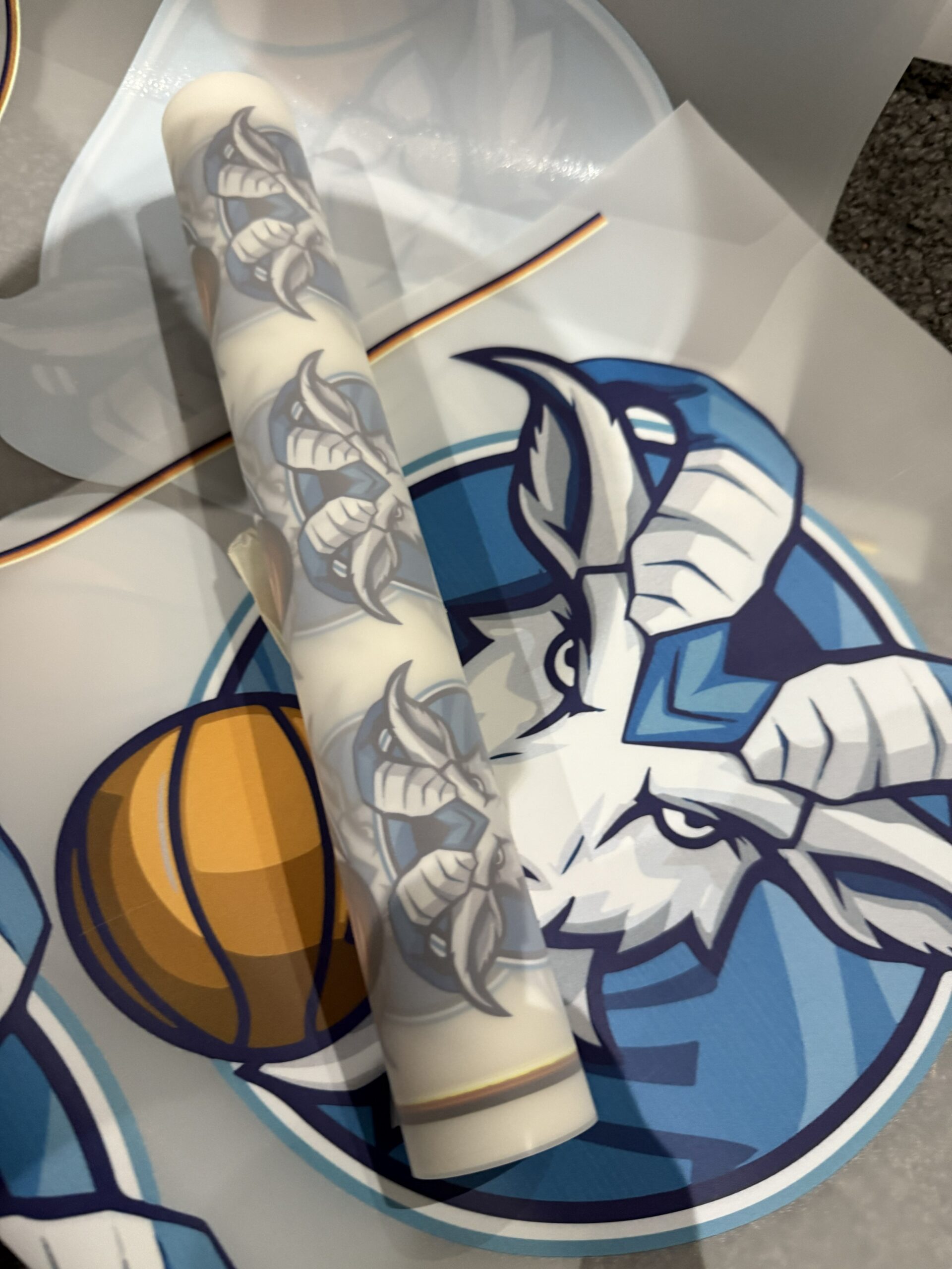 Transfert DTF en rouleau — Marquage textile professionnel